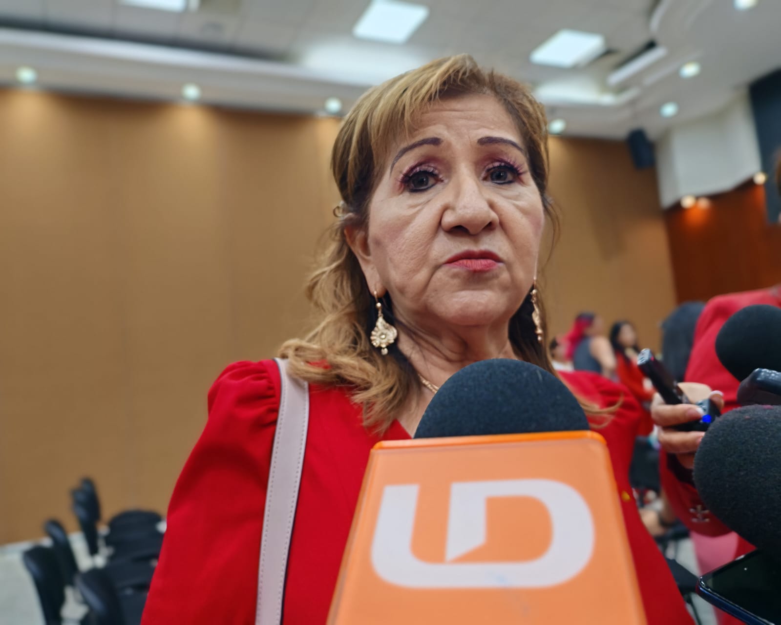 Diputada presidenta de la Junta de Coordinación Política