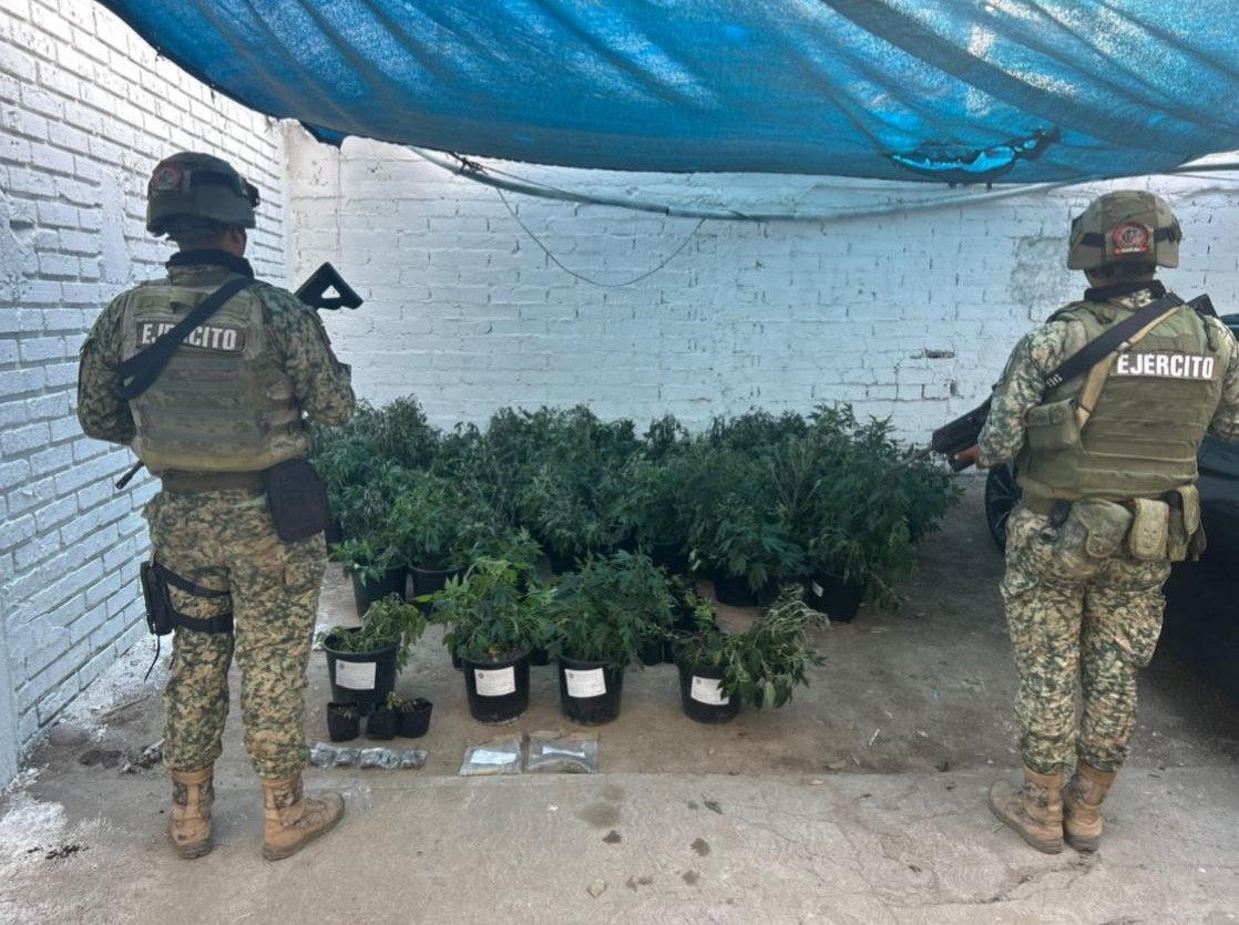 Personal militar junto a los plantíos de mariguana en Elota.