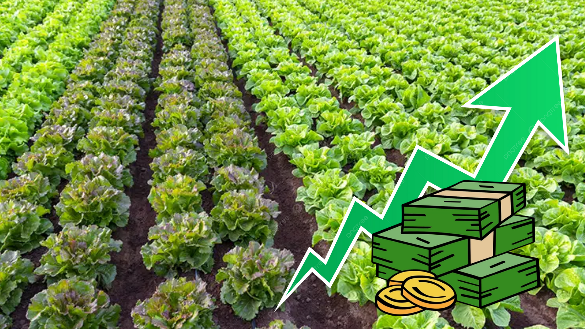 México debe reinventarse y buscar otros mercados ante las amenazas de EU