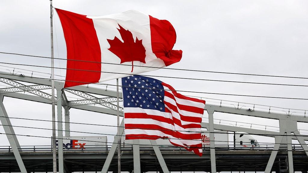 México emite alerta de viaje a EU y Canadá por brote de sarampión