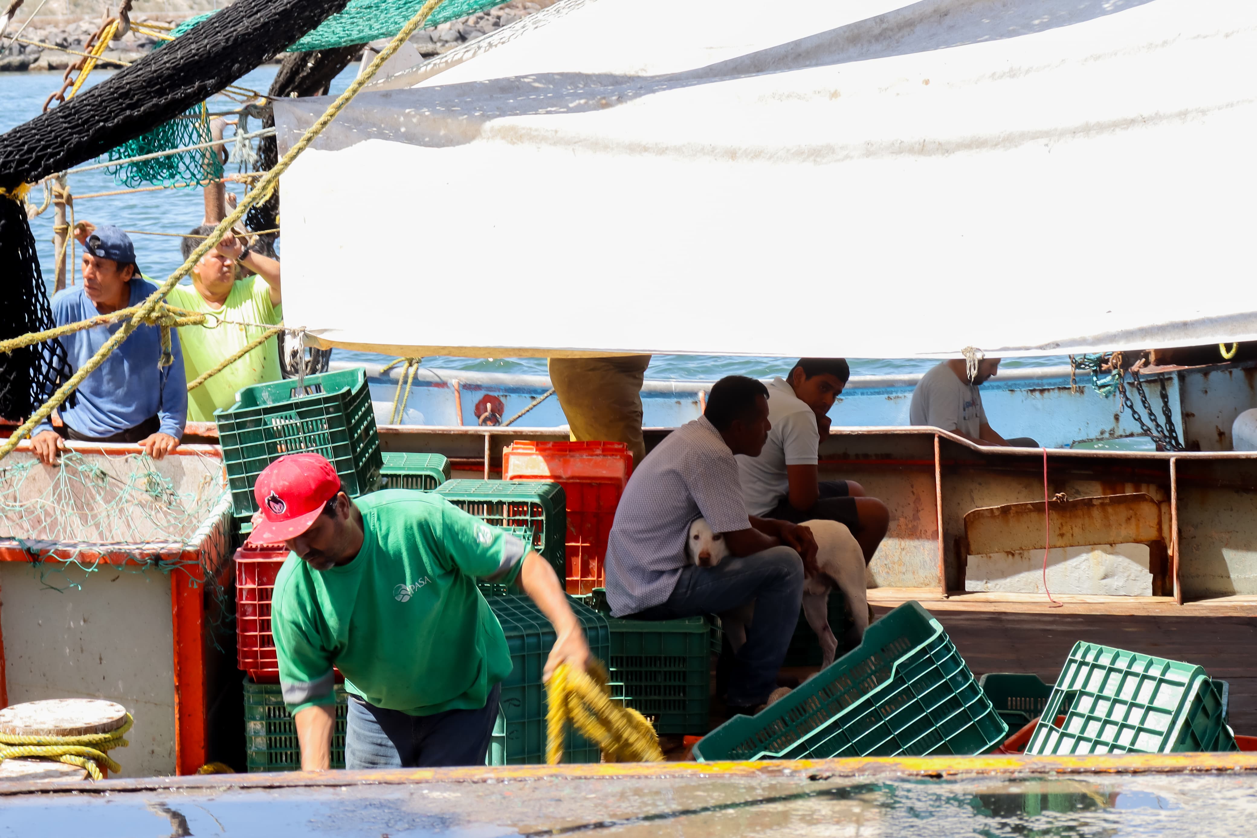 Pescadores de mar en Topolobampo