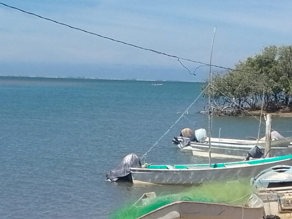 Piden liberar el Bienpesca estatal ante crisis en campos pesqueros de Angostura