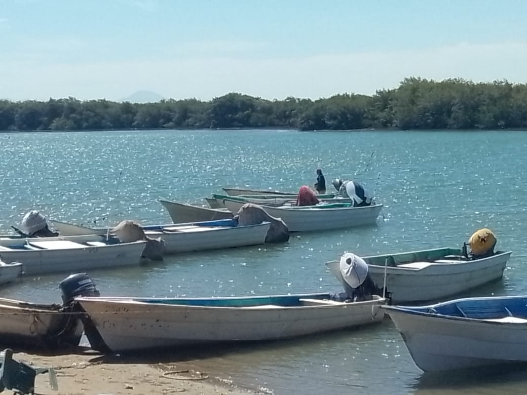 Piden liberar el Bienpesca estatal ante crisis en campos pesqueros de Angostura