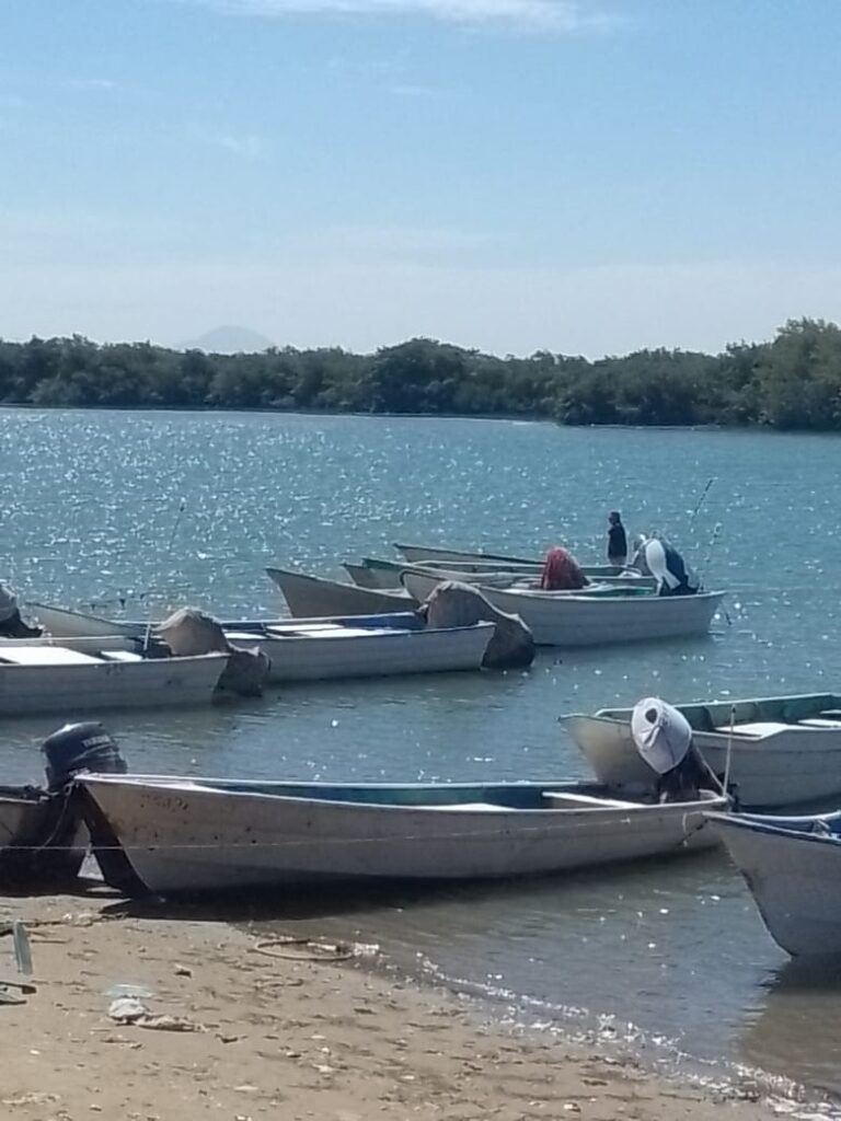 Piden liberar el Bienpesca estatal ante crisis en campos pesqueros de Angostura