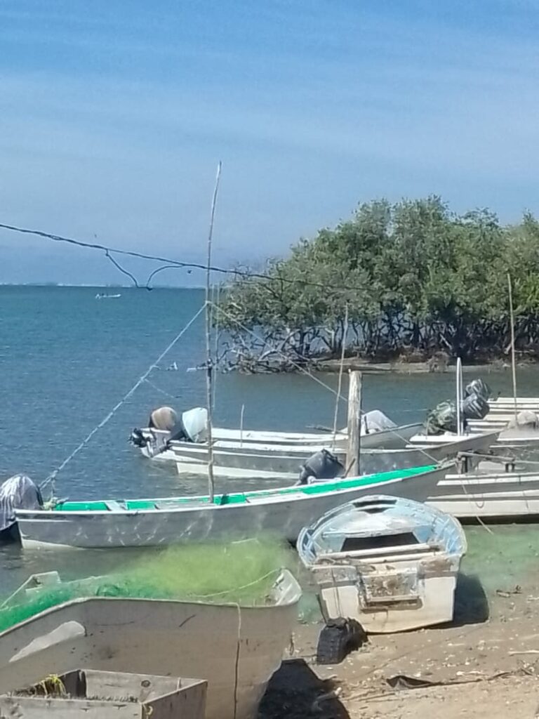 Piden liberar el Bienpesca estatal ante crisis en campos pesqueros de Angostura