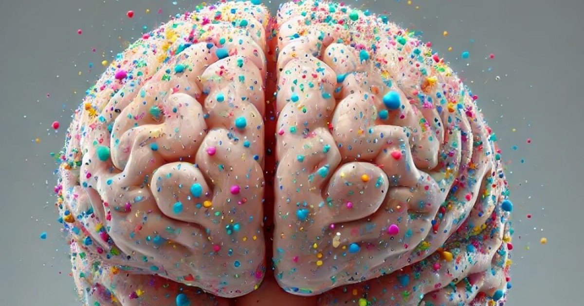 Plásticos en la comida podrían dañar nuestro cerebro y contribuir a enfermedades mentales