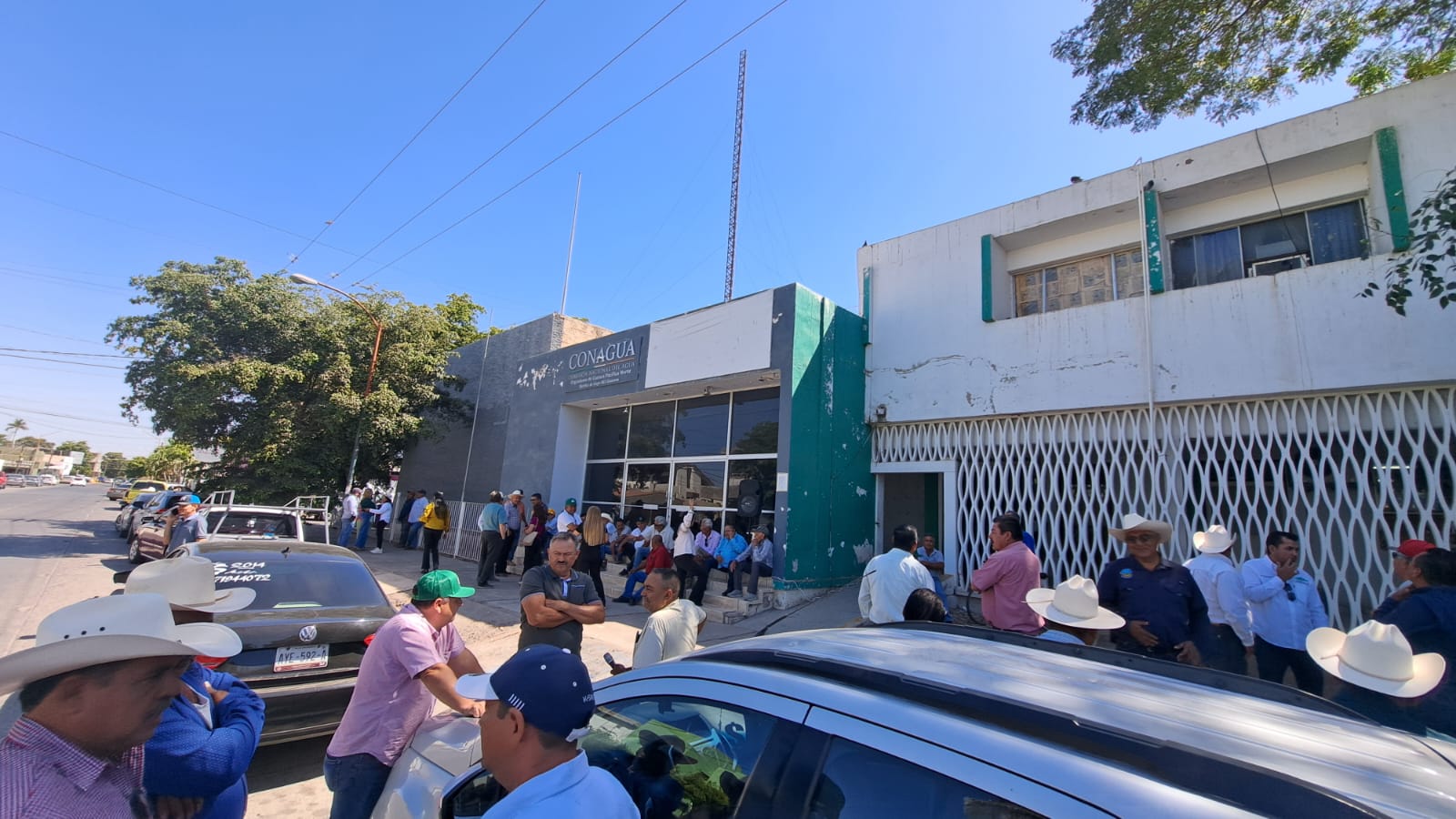 Productores (1)