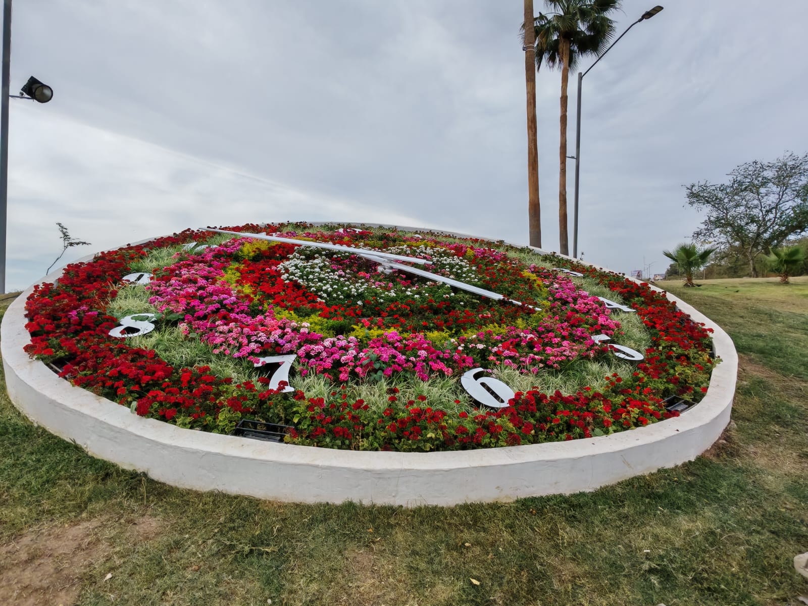 Reloj floral monumental en Culiacán con una llamativa decoración.