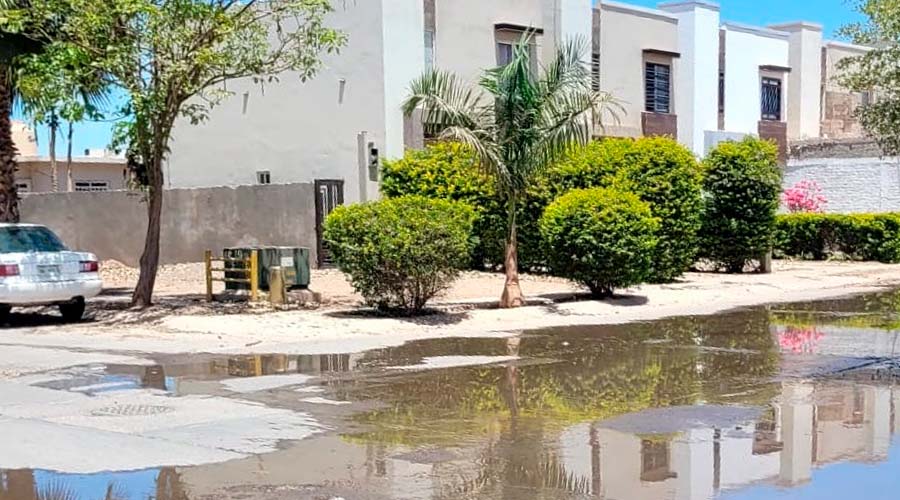 Fugas de agua en calles de Guasave