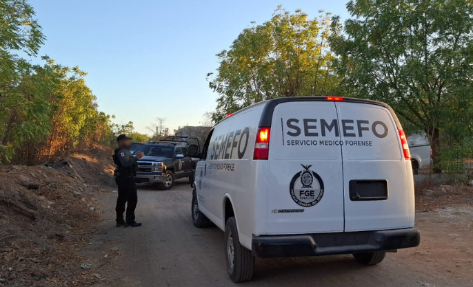 Semefo