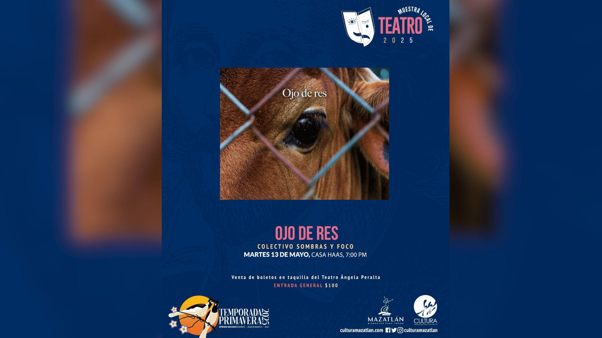 Temporada Primavera 2025 presenta este martes Ojo de res en Mazatlán