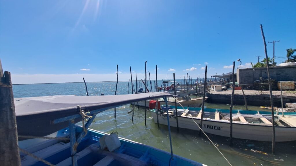 Ventas de pescadores se han visto afectadas por la inseguridad