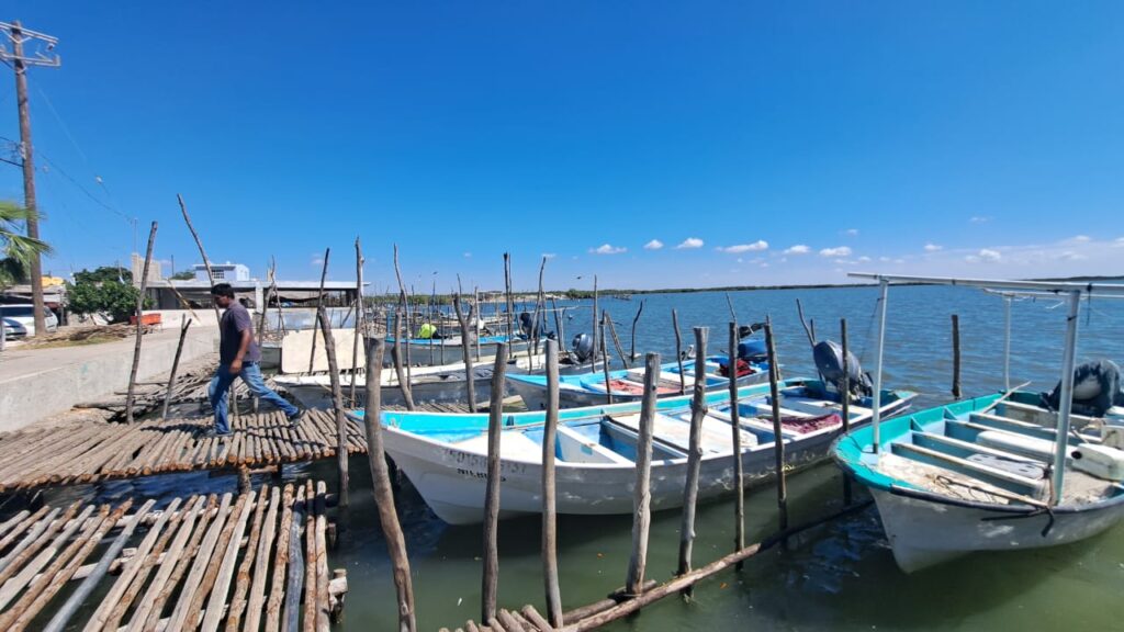 Ventas de pescadores se han visto afectadas por la inseguridad