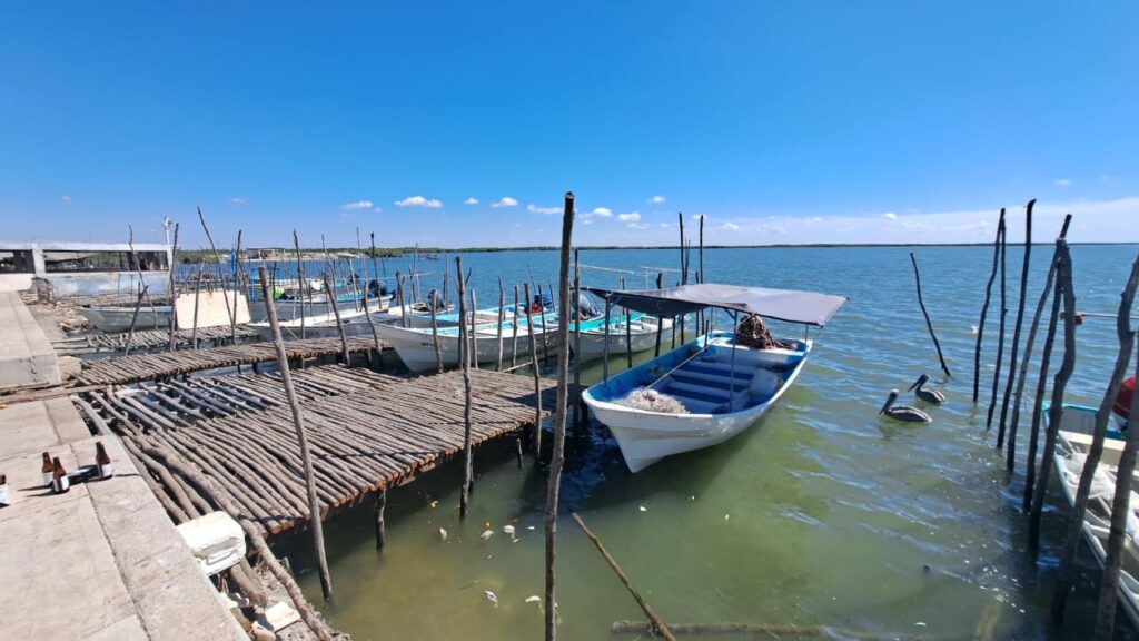 Ventas de pescadores se han visto afectadas por la inseguridad