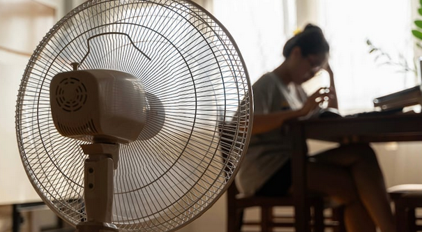 ¡Que no te gane el calor! Checa las mejores opciones de ventiladores disponibles en Amazon México