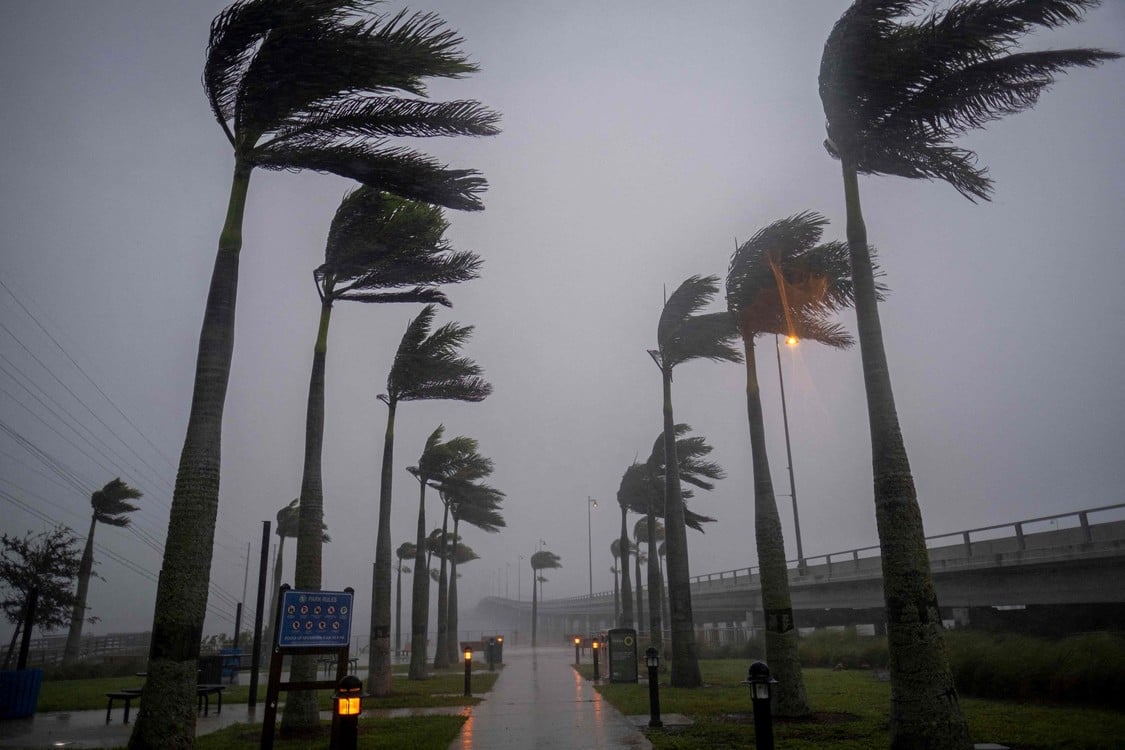 Palmeras captada en movimiento por el viento de un huracán.
