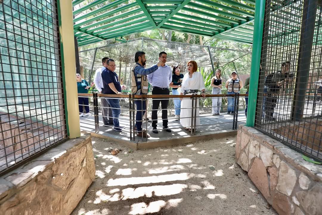 Visita