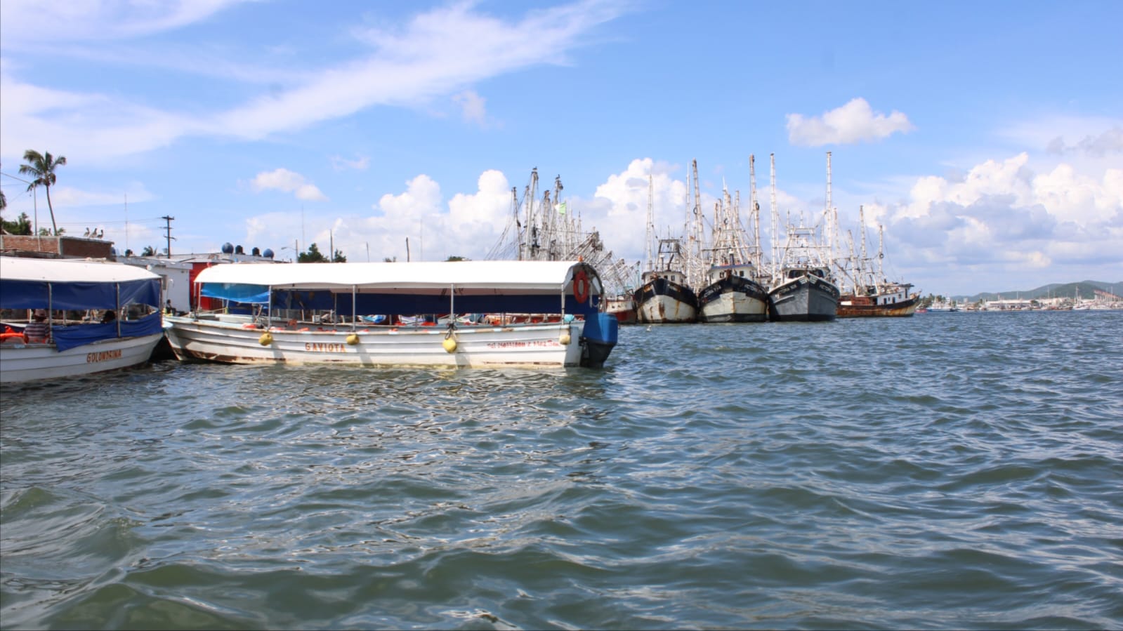 Líder aprueba iniciativa del Congreso sobre paridad de género en la pesca
