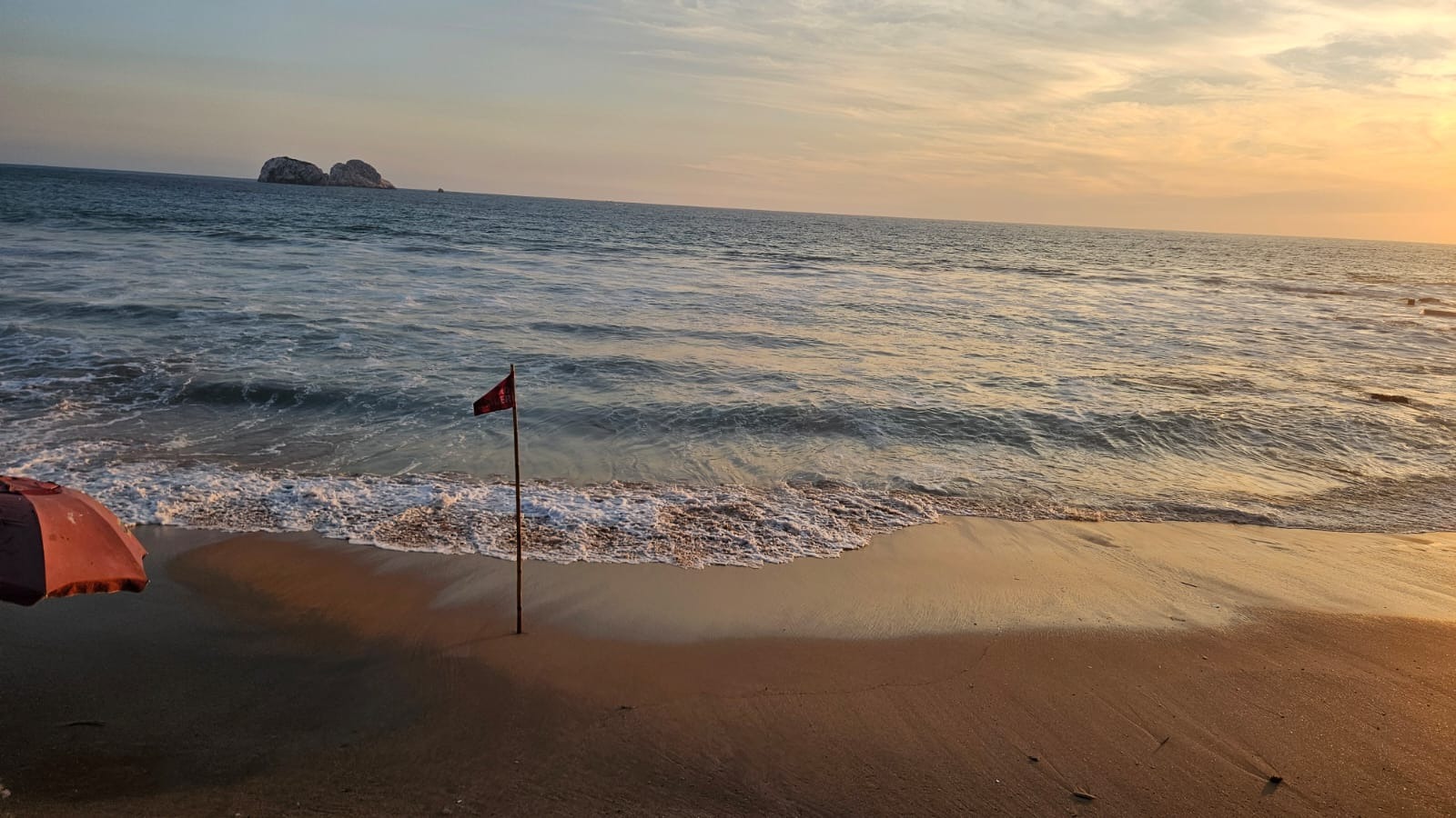 Convoca el Gran Acuario de Mazatlán a la jornada “Súmate a la Gran Limpieza de Playas 2025”