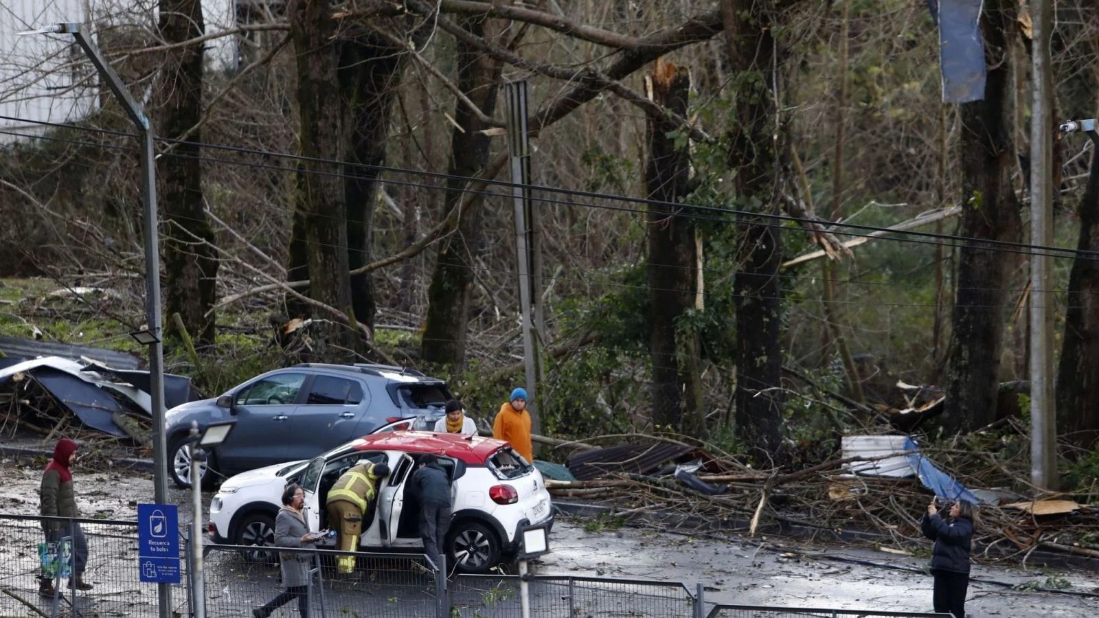 Tornado sorprende a Puerto Varas: ocho heridos y más de 150 casas con daños