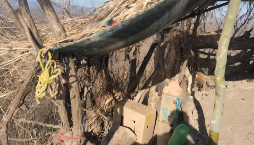 Elementos del Ejército Mexicano localizan campamento clandestino