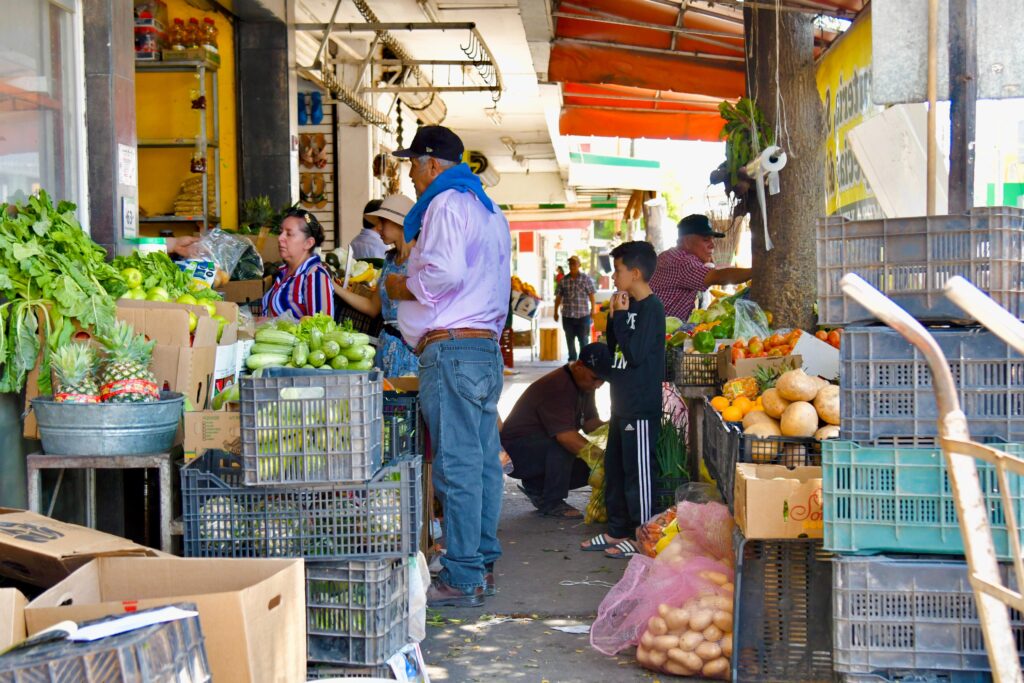 Comercios en Salvador Alvarado