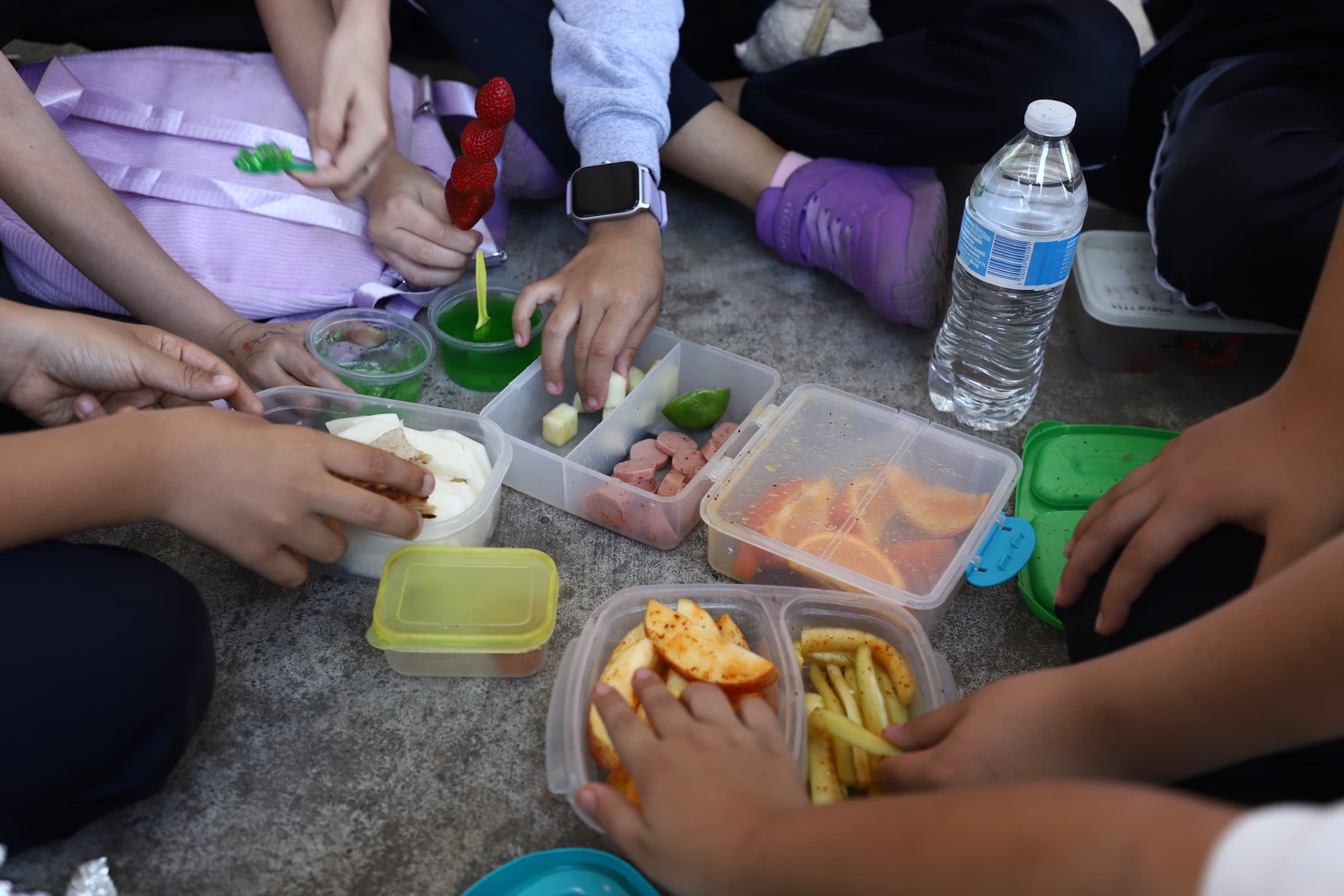 Estrategia nacional “Vida Saludable”