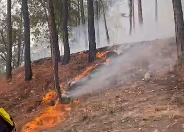 incendios en badiraguato