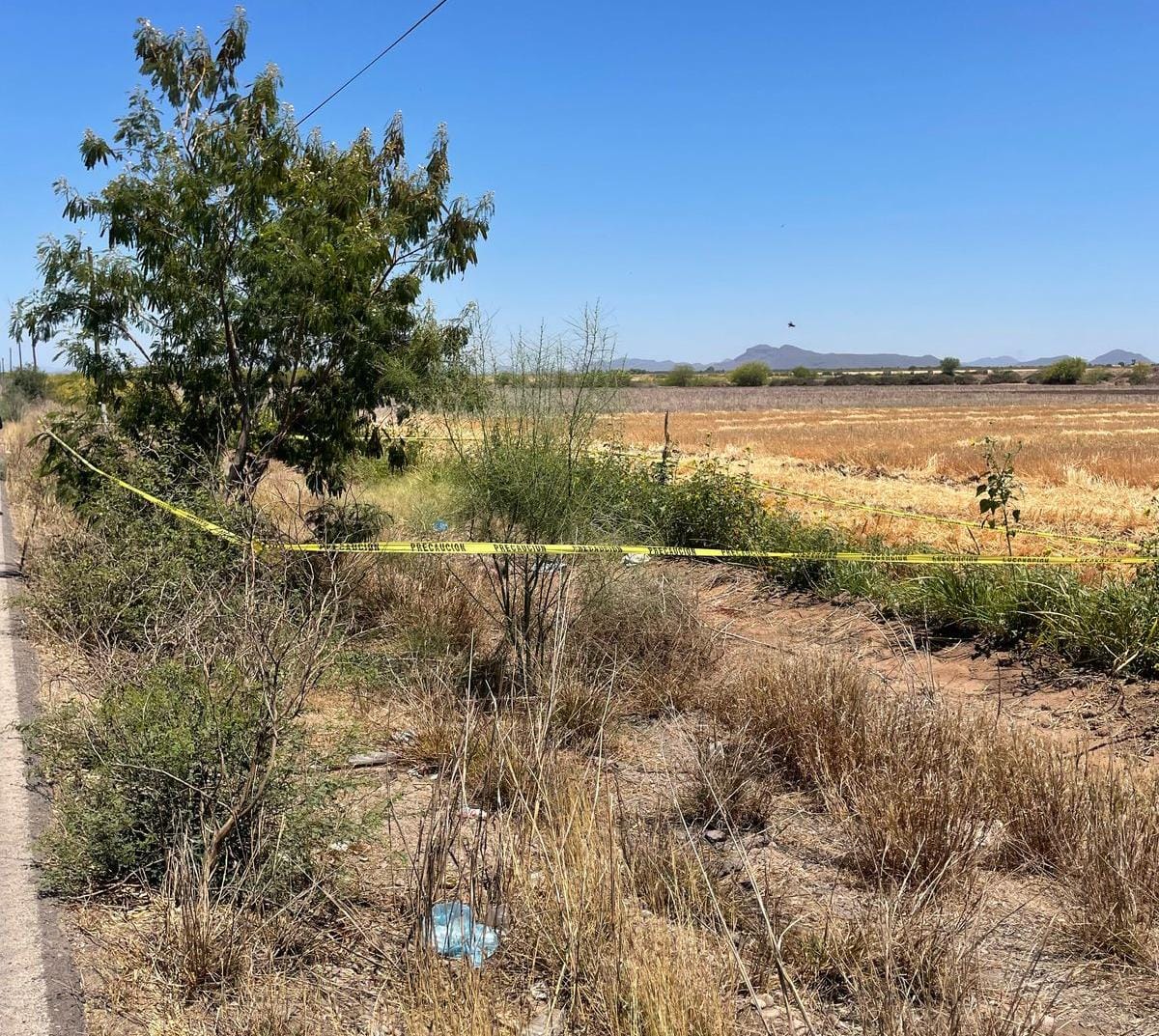 localizan un cuerpo sin vida en una carretera en El Carrizo, Ahome