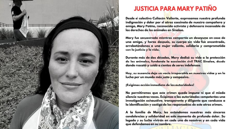 mary patiño