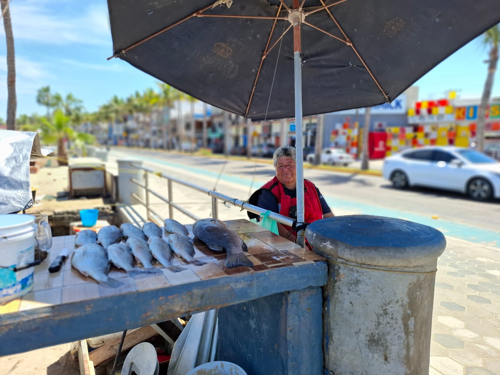 pajarito mazatlan