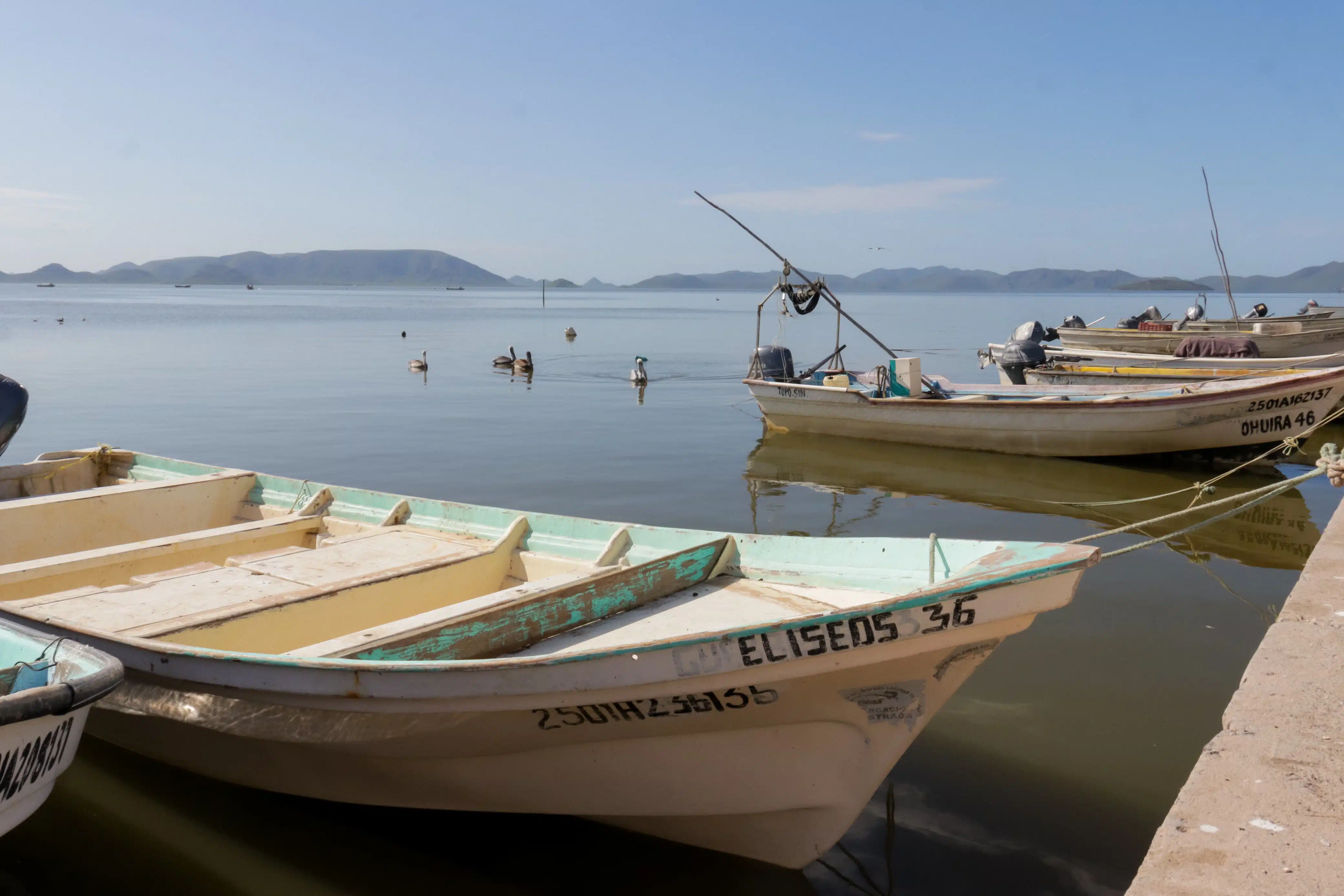 panga