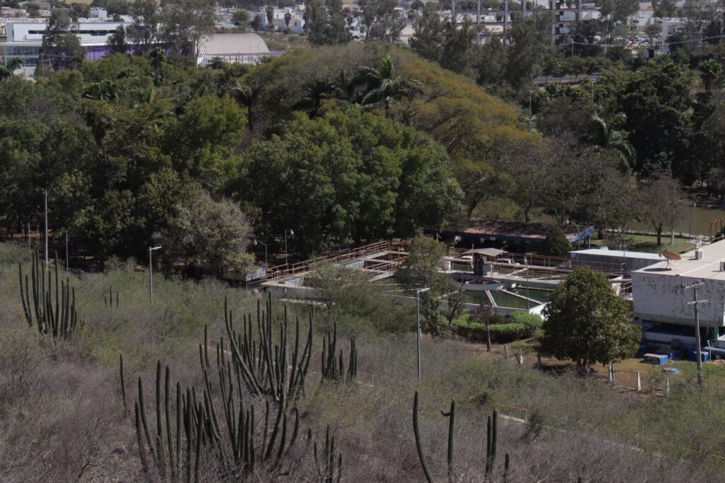 Planta Comisión Río Fuerte de la Japama
