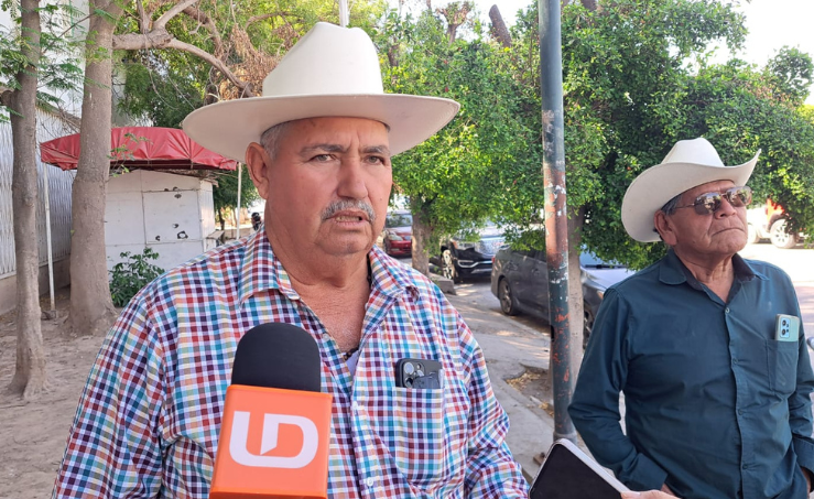 Productores de Sinaloa