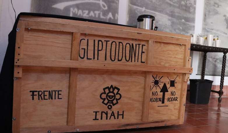 Restos fósiles del gliptodonte