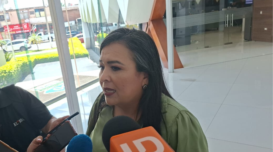 Diputada Federal Ana Ayala Leyva