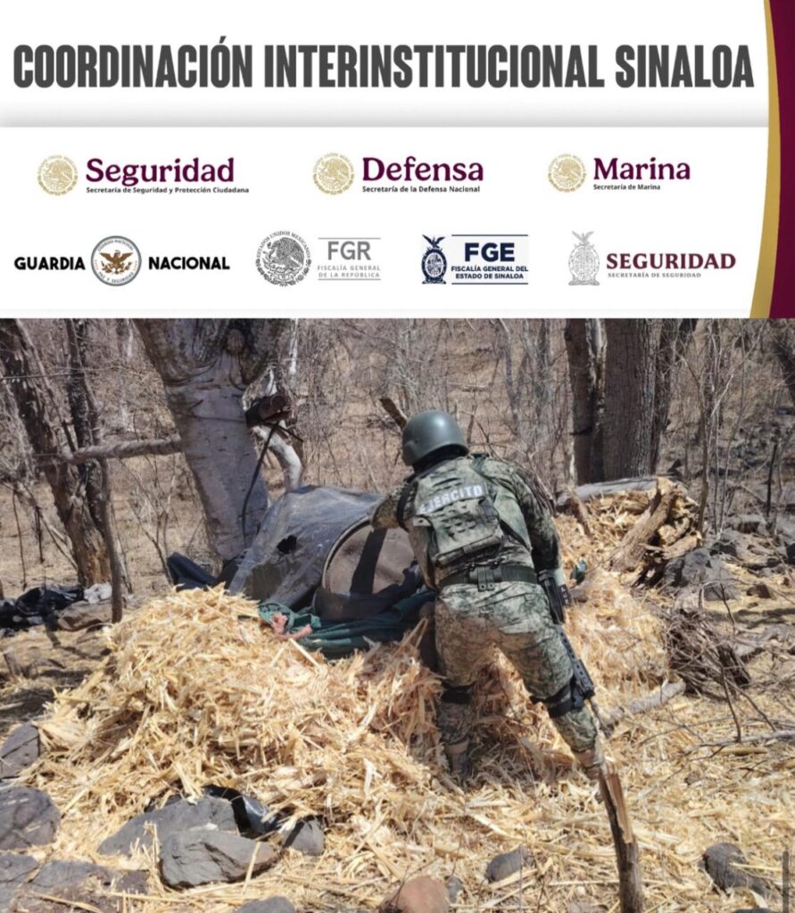 Grupo Interinstitucional asegura y destruye marihuana en diversos puntos de Mocorito