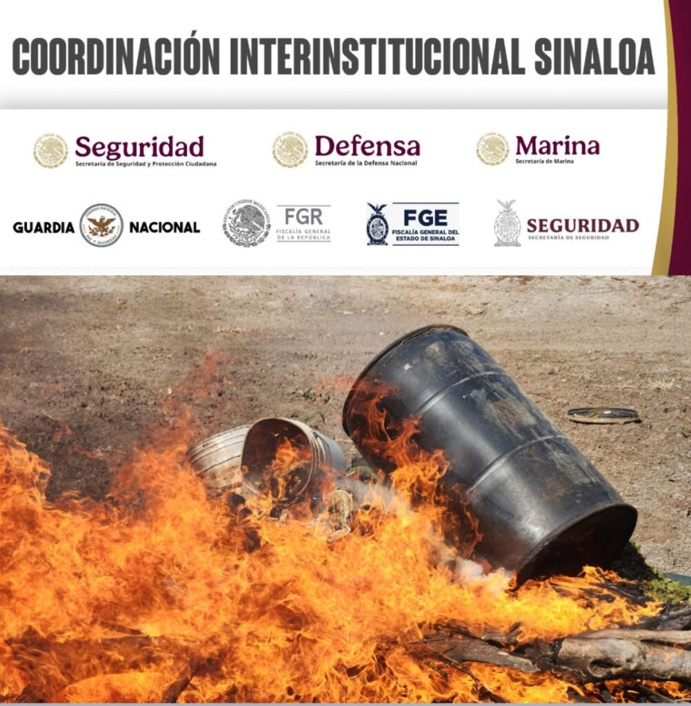 Grupo Interinstitucional asegura y destruye marihuana en diversos puntos de Mocorito