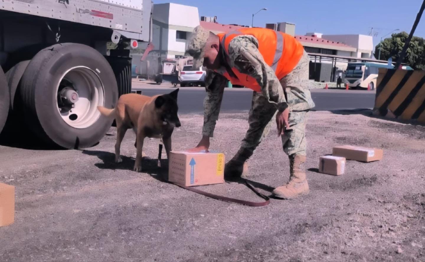 Militares aseguran mariguana en un punto de revisión en el municipio de Ahome