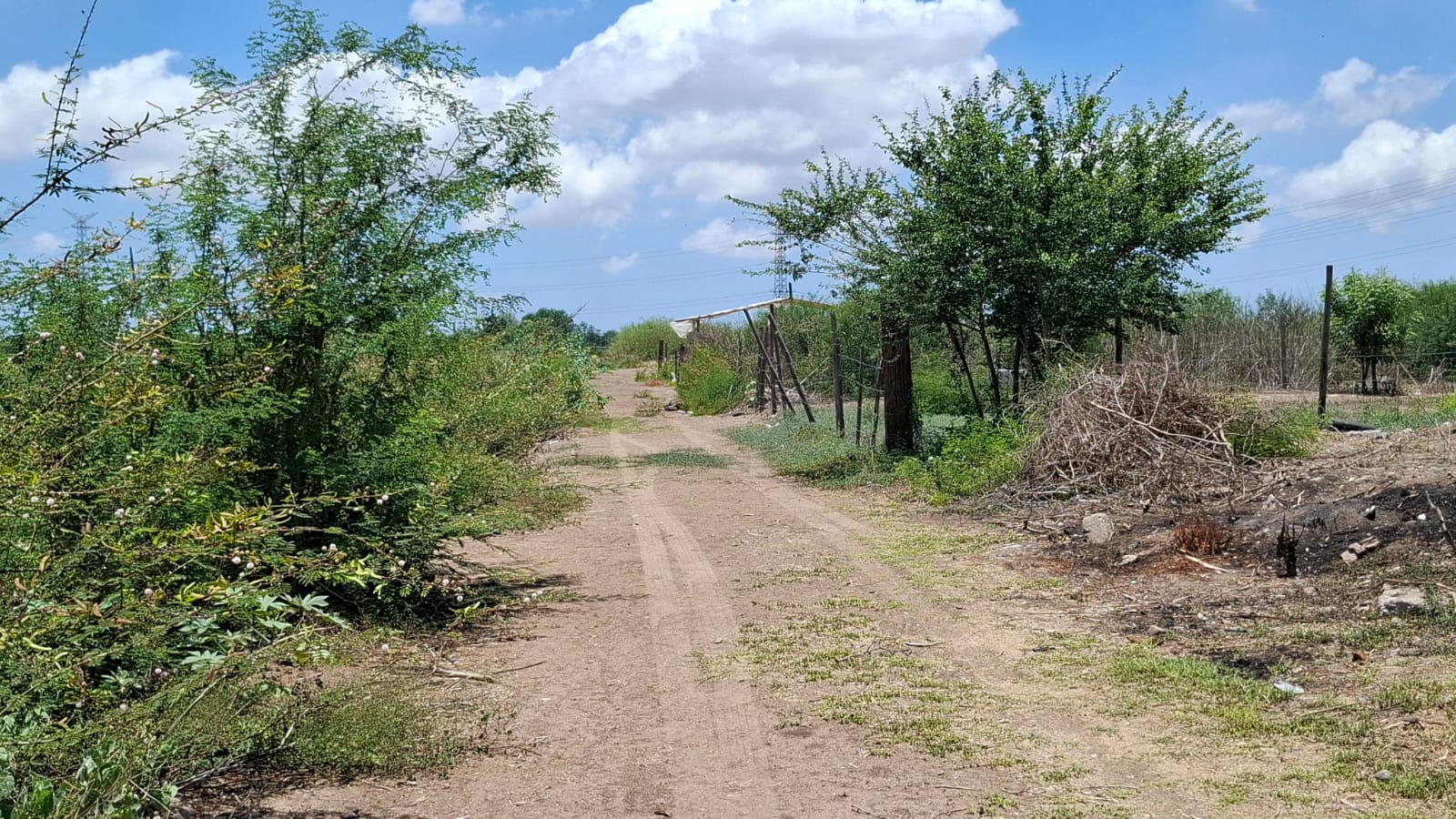 Terreno donde fue encontrado el cadáver.