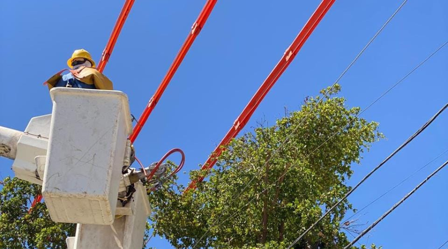 Personal de la CFE realiza mantenimiento a una red eléctrica