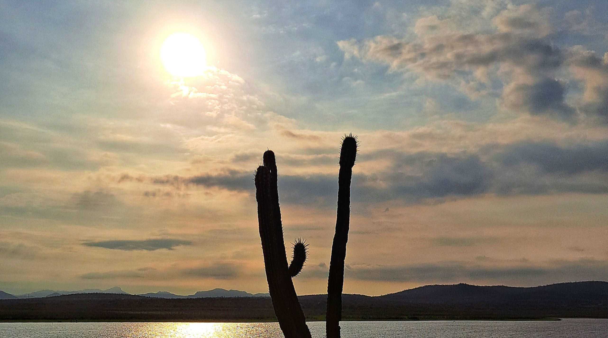 Cielo azul con nubes y un sol pegando fuerte en lo alto y una sombra de un cactus