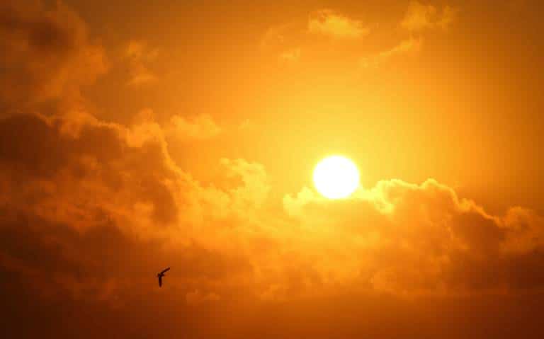 Altas temperaturas azotan a Sinaloa.