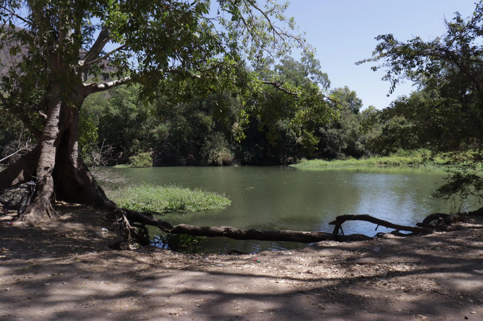 Conagua revisará concesiones y descargas en el río Fuerte