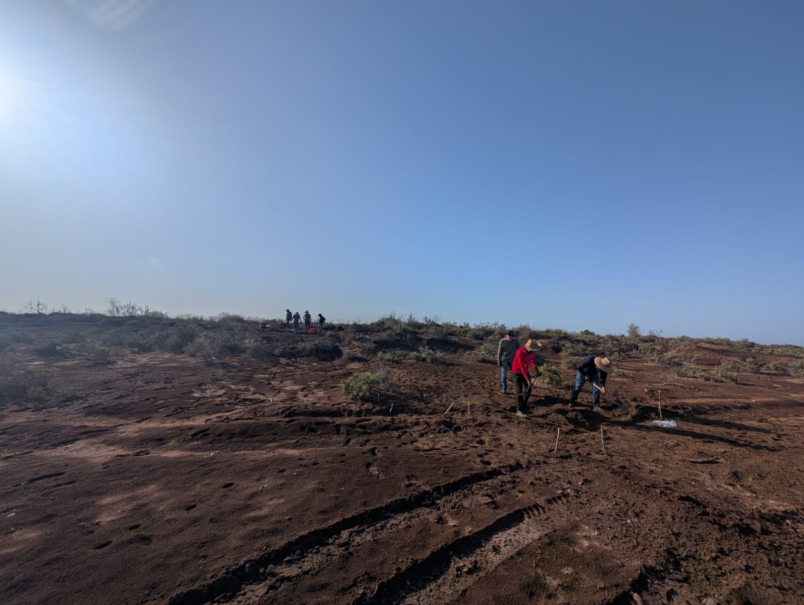 Descubren crematorio de bebés prehispánico con 800 años de historia en Guasave