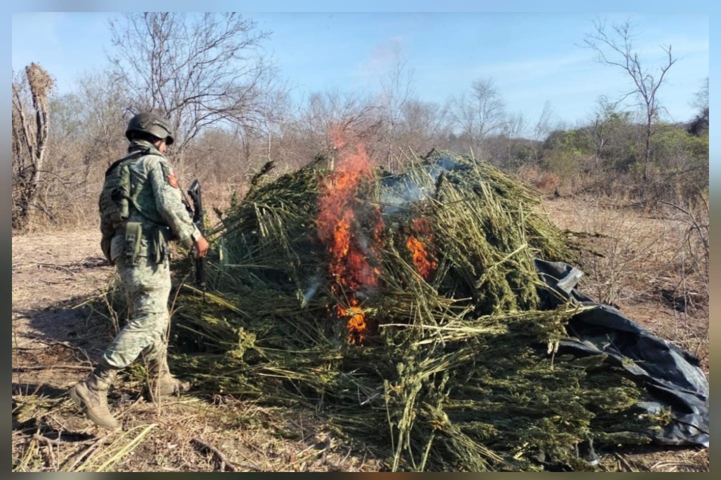 Ejército Mexicano destruyendo los secaderos de mariguana.