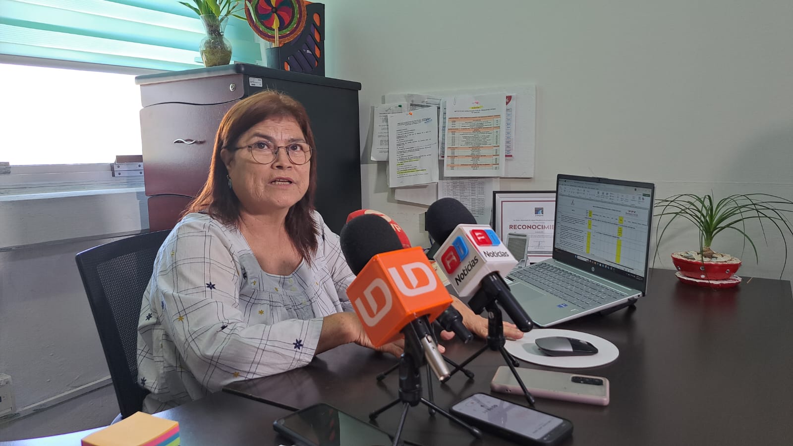 Directora del Immujeres en Mazatlán