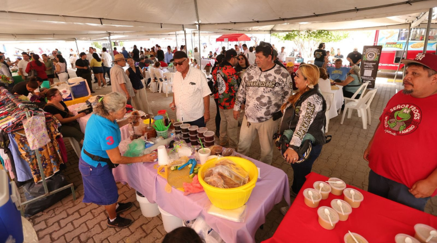 Feria de la Ciruela 2025