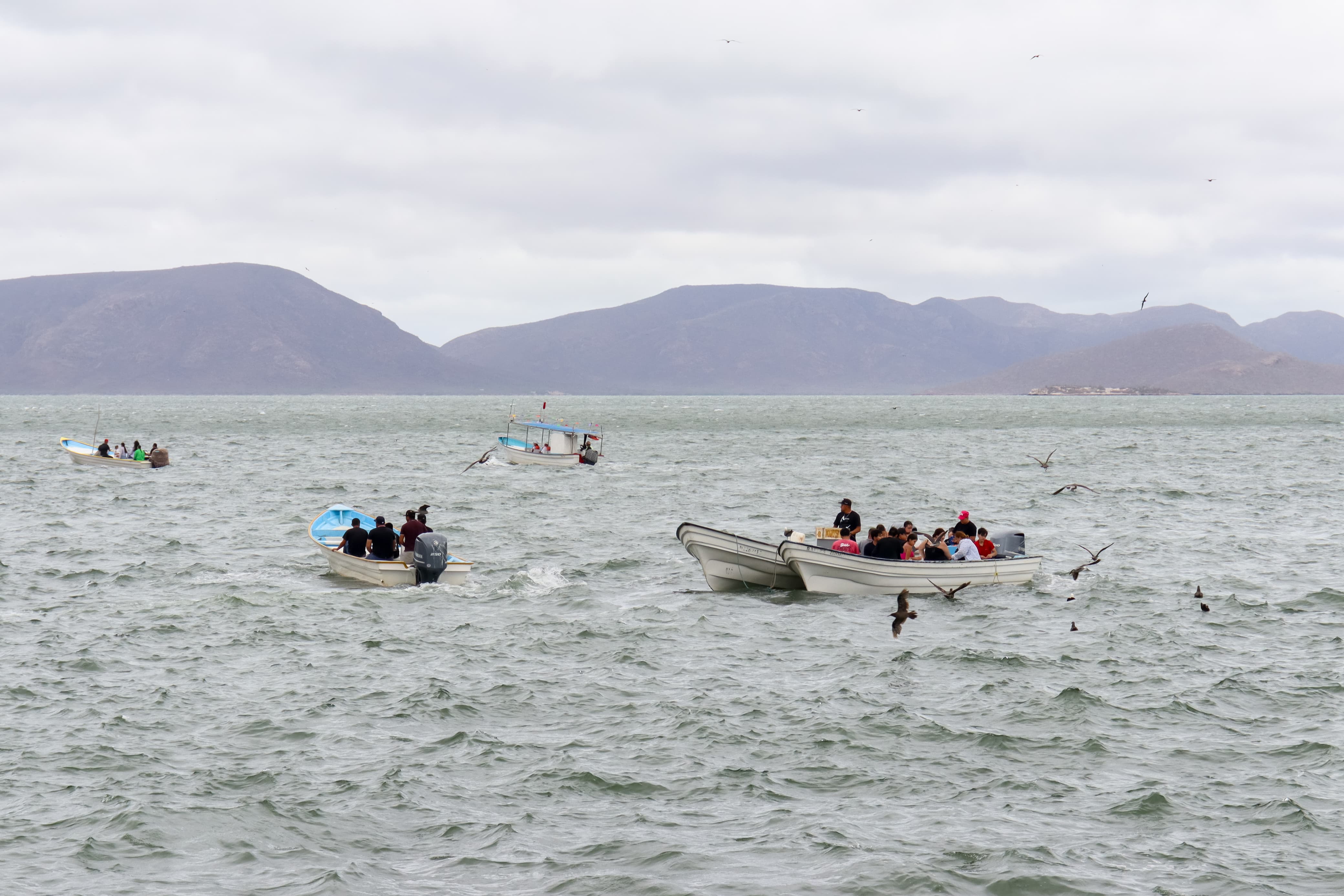 Fuerte oleaje en Topolobampo