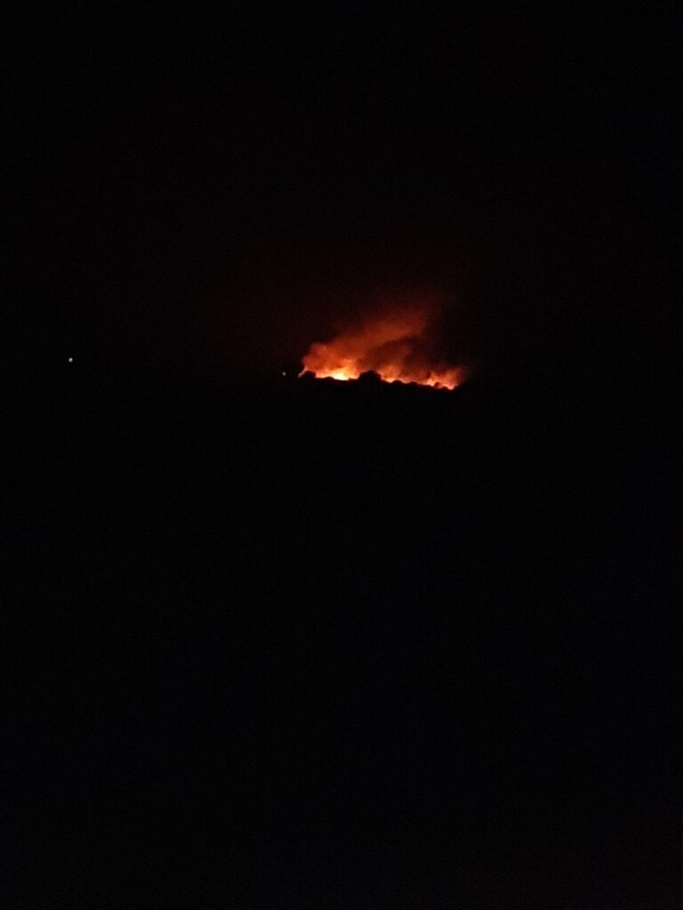 Se incendia reserva ecológica en Angostura; temen que las llamas arrasen con los tulares